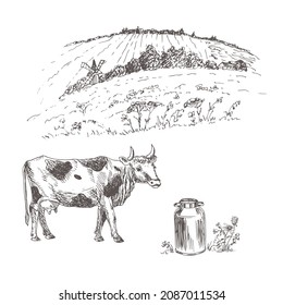 The variegated cow. Milk's farm. Rural landscape. Vector illustration. Eco-friendly production, agriculture, animal husbandry.