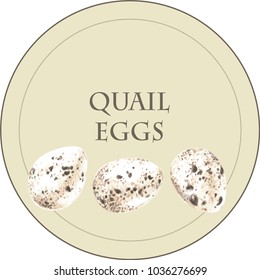 Variegated quail eggs in pastel shades. Little eggs for Easter
