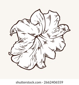Petúnia varietal, ilustração vetorial de broto de flor em estilo de gravura marrom. Cartão vintage com flor de jardim. Ilustração botânica desenhada à mão. Planta monocromática em estilo linear