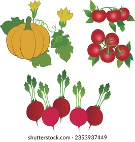 una variedad de verduras apetitosas
