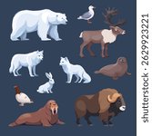 A variety of Arctic animals, including polar bear, Arctic fox, muskox, harp seal, and more. Vector Illustration

