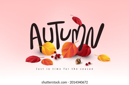  Variety of autumn leaves falling Autumn banner background and Seasonal lettering