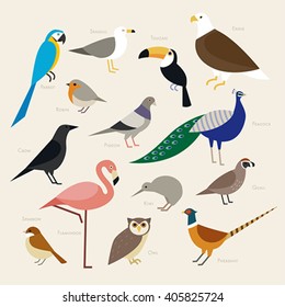 A variety of birds vector illustration