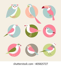 A variety of birds vector illustration