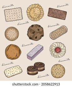 Variety of Biscuits Cookies Isolated Vector Illustration