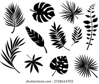 Una variedad de siluetas negras que representan diferentes tipos de hojas tropicales y frondas de plantas sobre un fondo blanco.