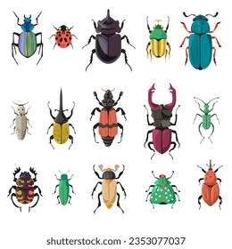 Variety of bugs and beetles types and kinds, isolated seven pointed ladybug or ladybird, stag and moth with wing, legs and antennae. Nature and biodiversity insects species. Vector in flat style