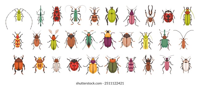 Variety of bugs and beetles types and kinds. Colorful insects of various shapes. Nature and biodiversity insects species. Beetle set vector flat illustration.