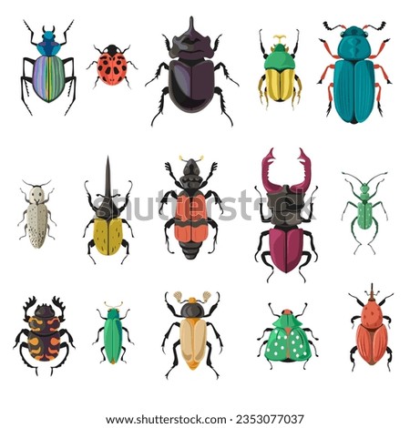 Variety of bugs and beetles types and kinds, isolated seven pointed ladybug or ladybird, stag and moth with wing, legs and antennae. Nature and biodiversity insects species. Vector in flat style