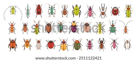 Variety of bugs and beetles types and kinds. Colorful insects of various shapes. Nature and biodiversity insects species. Beetle set vector flat illustration.