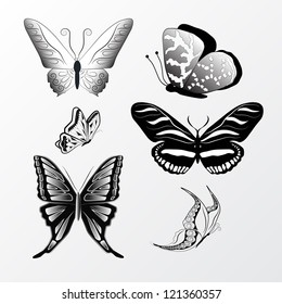 Variety of Butterflies