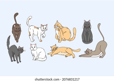 Variety of cats animals concept. Set of grey red white and brown cats stretching sitting lying relaxing and enjoying life vector illustration 