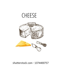 Variety of cheese sorts. Hand drawn illustration of cheese types . Sketch isolated on white and colored vector for menus and shop stickers