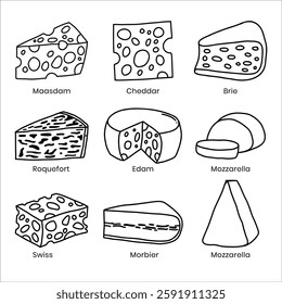 Variety of Cheese Types for Culinary Delights. Hand drawn doodle cheese line illustration