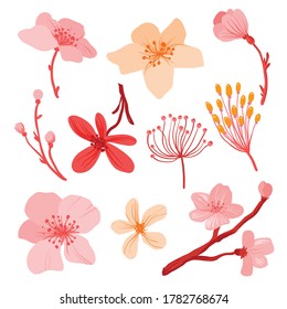Variety of Cherry Blossom Set