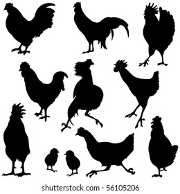 Variety of chicken silhouettes.