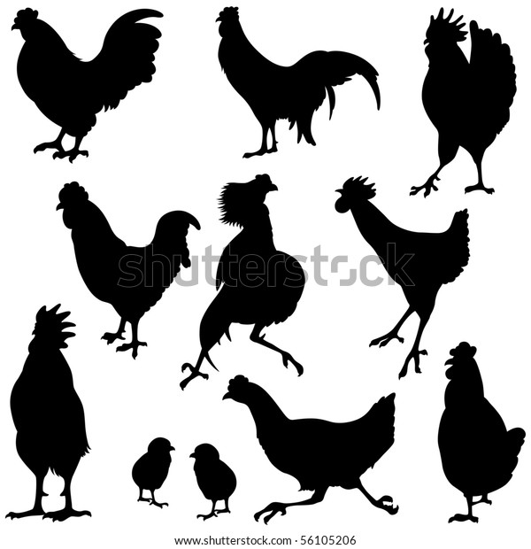 Variety Chicken Silhouettes Stock Vector Royalty Free 56105206 