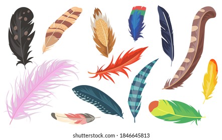 27,375 Pheasant Tail Feathers Images, Stock Photos, 3D objects, & Vectors