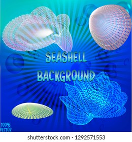 Variety of colorful seashell in different sizes seen from above isolated on a blue background. Decoration element for banner design.