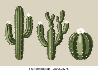 Variety of desert cacti including tall saguaro and round barrel types with white flowers are displayed against a clean neutral background.