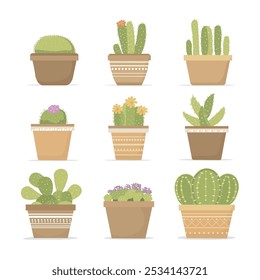 A variety of different cacti, in flower pots, against a white backdrop.
