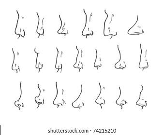 Variety Different Noses All Shapes Sizes Stock Vector (Royalty Free ...