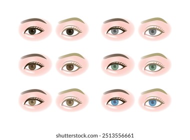Una variedad de colores de ojos
