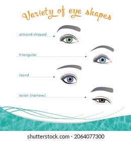 Variety of eye shapes on a white background along the contour of the lower and upper eyelids