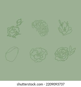 Variety of flowers. Rose Hydrangea. Tulip. Eustoma. Vector graphics