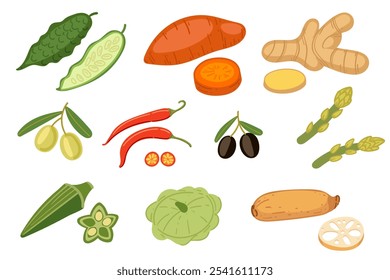 Variety of fresh vegetables and herbs including ginger, chili, okra, and root, symbolizing healthy food choices and cooking. Ideal for culinary, health, and wellness themes. Vector illustration.