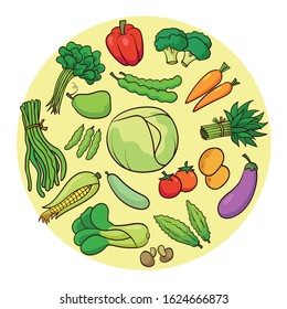 
A variety of fresh vegetables. There are paprika, carrots, long beans, spinach, eggplants, cucumbers, corn, kale, and so on