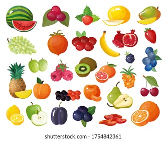 Variety of fruit food set
