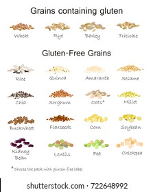 Una variedad de granos sin gluten y que contienen granos de gluten. Trigo, cebada, avena, centeno, trigo sarraceno, amaranto, arroz, mijo, sorgo, quinua, chia, semillas de lino, sésamo, harina de avena, legumbres. Vector aislado