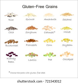 A variety of gluten free grains. Buckwheat, amaranth, rice, millet, sorghum, quinoa, chia seeds, flax seeds, sesame, oatmeal, legumes. Vector isolated on white