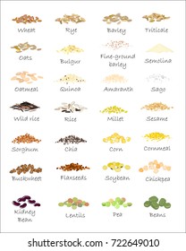 Una variedad de cereales y cereales. Trigo, cebada, avena, centeno, trigo sarraceno, amaranto, arroz, mijo, sorgo, quinua, chia, harina de avena, legumbres. Vector aislado