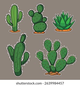 Variety of green cacti and succulents
