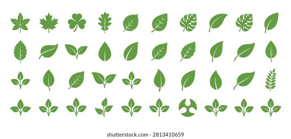 Variety Of Green Leaf Shapes And Silhouettes A Flat Vector Illustration foliage leaves