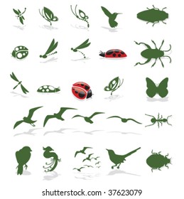 A Variety of Insects and Birds