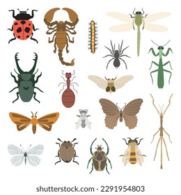 Variety of insects and bugs entomology simple vector drawing flat illustration collection set pack - bee, ladybugs, butterfly, spider, ants, moth, beetle, mantis, grasshopper, scorpion, caterpillar