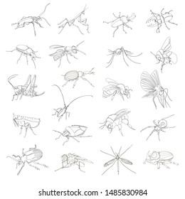 a variety of insects. continuous contour drawing. one line. a set of vectors