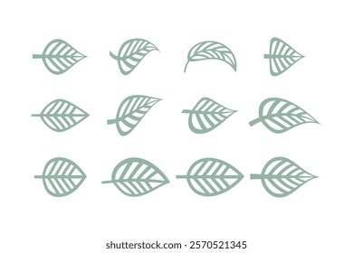 Variety of Leaf Designs Vector