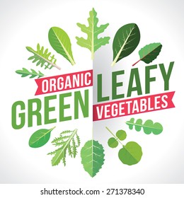 A variety of leafy greens vegetables. Vector illustration