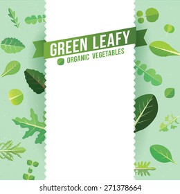 A variety of leafy greens vegetables. Vector illustration