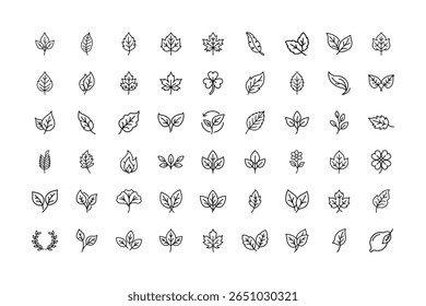 Uma variedade de folhas, plantas e ícones florais são exibidos em um estilo de contorno simples.