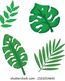 Variety of leaves vector clipart