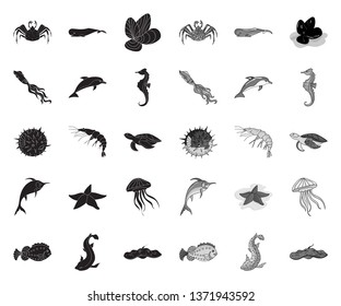 A variety of marine animals black.mono icons in set collection for design. Fish and shellfish vector symbol stock web illustration.