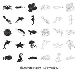 A variety of marine animals black,outline icons in set collection for design. Fish and shellfish vector symbol stock web illustration.