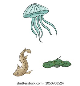 A variety of marine animals cartoon icons in set collection for design. Fish and shellfish vector symbol stock web illustration.
