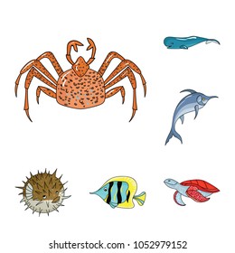 A variety of marine animals cartoon icons in set collection for design. Fish and shellfish vector symbol stock web illustration.