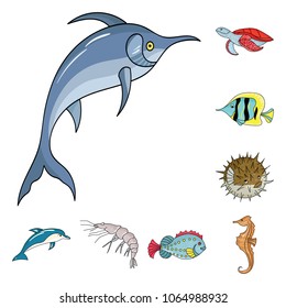 A variety of marine animals cartoon icons in set collection for design. Fish and shellfish vector symbol stock web illustration.